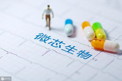 小分子創新藥研發公司 藥品生產技術開發的關鍵環節