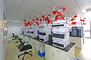 羅欣上海創(chuàng)新藥物與首仿藥物生產(chǎn)研發(fā)技術(shù)改造獲專項認定，助推產(chǎn)業(yè)轉(zhuǎn)型升級