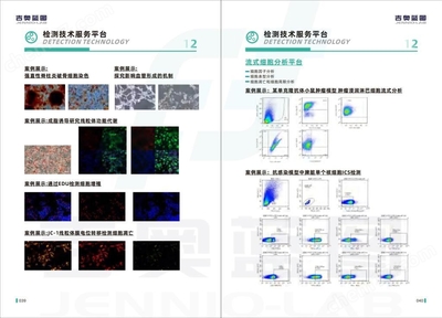 sNF96.2人雪旺細胞藥品生產技術開發